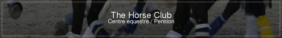 The Horse Club